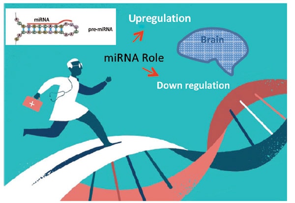 microRNA biomarker analysis